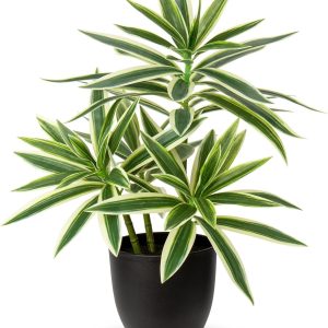 Faux Plants 16.1" Dracaena Artificial Plant Realistic Fake Plants in Pot Small Indoor Plants Fake Potted Plants Artificial Decor for Home Living Room Bathroom Office House Table Desk Shelf, Green