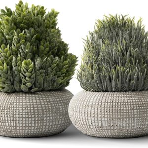 2Pack Small Fake Plants 6.1/5.7 Inch, Artificial Plants Indoor in Cement Planter, Faux Plants Indoor for Room Bathroom Bedroom Kitchen Office Home Decor