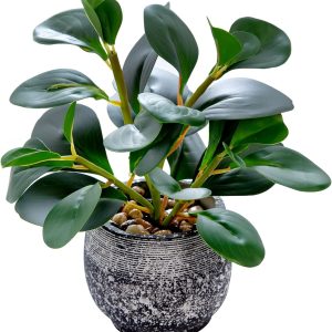 Artificial Plants Potted Real Looking Small Faux Plant with Rustic Black Cement Planter for Kitchen Office Desk Bookshelf Decor (Ficus Plant)