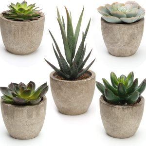 Artificial Succulent Plants Potted, Assorted Decorative Faux Succulent Potted Fake Cactus Cacti Plants with Pots, Set of 5